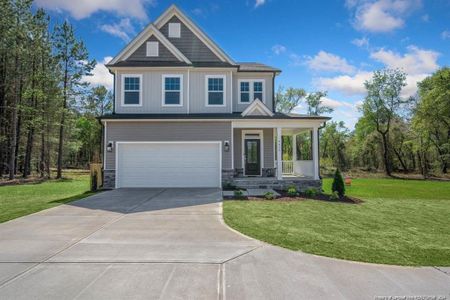 New construction Single-Family house 4455 Nw Old Us 421 Road Nw, Lillington, NC 27546 - photo 0 0