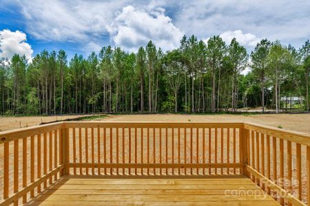 New construction Single-Family house 1249 Burris Boulevard, Lincolnton, NC 28092 - photo 13 13