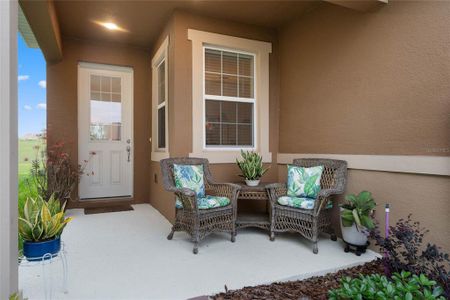 New construction Townhouse house 2676 Spider Lily Court, Clermont, FL 34711 - photo 3 3