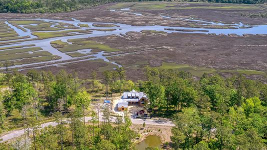 New construction Single-Family house 116 Peninsula Court, Ravenel, SC 29470 - photo 0