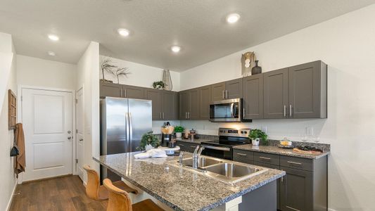 New construction Duplex house 1749 Floating Leaf Drive, Fort Collins, CO 80528 - photo 7 7