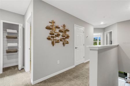 New construction Townhouse house 5637 Tripoli Drive, Palmetto, FL 34221 Alexander - Townhomes- photo 29 29