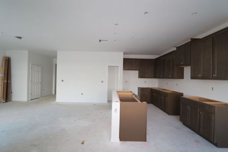 New construction Single-Family house 5238 Currant Street, Lakeland, FL 33811 Marina- photo 45 45