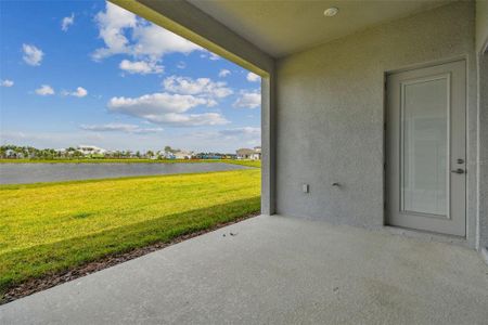 New construction Single-Family house 10513 Sea Pines Place, Parrish, FL 34219 - photo 54 54