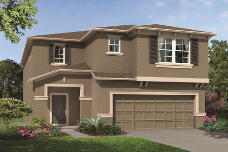 New construction Single-Family house Castellana, 4969 Eagle Rock Drive, Wimauma, FL 33598 - photo