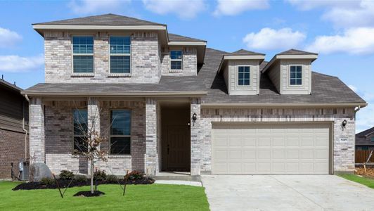 New construction Single-Family house Buckeye, 3924 Hometown Boulevard, Heartland, TX 75114 - photo