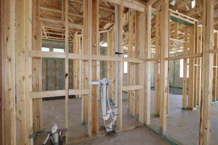 New construction Single-Family house 33251 Amling Pecan Branch, Wesley Chapel, FL 33545 Santa Monica- photo 22 22