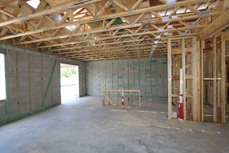 New construction Single-Family house 2881 Misty Marble Drive, Zephyrhills, FL 33540 Castellana- photo 27 27
