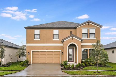 New construction Single-Family house 14706 Summer Branch Drive, Lithia, FL 33547 - photo 0