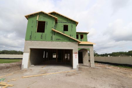 New construction Single-Family house 3077 Misty Marble Drive, Zephyrhills, FL 33540 Castellana- photo 13 13