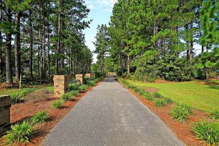 New construction Single-Family house 280 Pine Crest View Drive, Summerville, SC 29486 HANOVER- photo 64 64