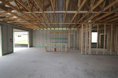 New construction Single-Family house 5082 Bromeliad Avenue, Wimauma, FL 33598 Barcello- photo 15 15