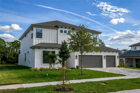 New construction Single-Family house 12403 Gentle Swan Place, Odessa, FL 33556 South Hampton- photo 1 1