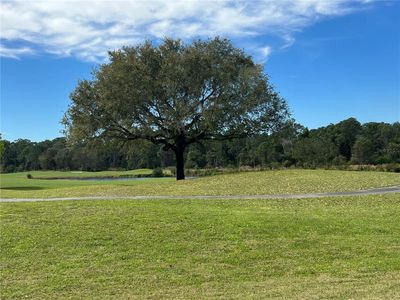 New construction Single-Family house 7501 Castlewood Court, Saint Cloud, FL 34773 - photo 67 67