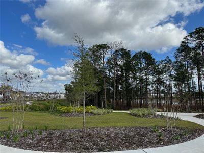 New construction Townhouse house 14018 Scarlet Aster Alley, Unit 8, Winter Garden, FL 34787 - photo 24 24