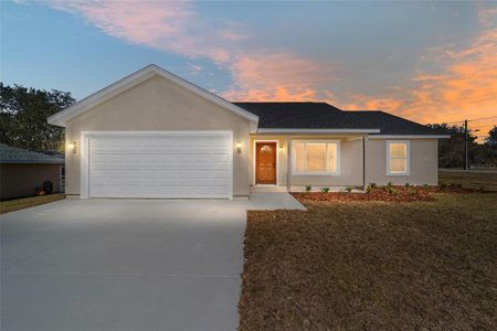 New construction Single-Family house 24003 Nw Tamarind Lane, Dunnellon, FL 34431 - photo 0