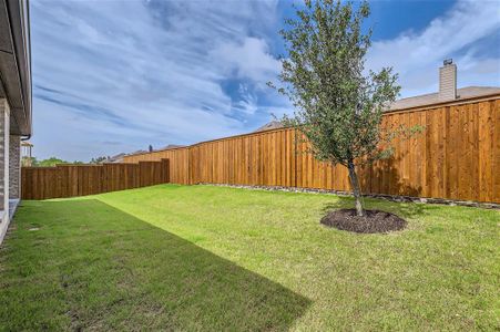 New construction Single-Family house 161 Honey Locust Drive, Prosper, TX 75078 Plan 1138- photo 26 26
