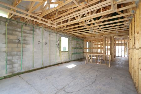 New construction Single-Family house 2868 Misty Marble Drive, Zephyrhills, FL 33540 Herrera- photo 18 18