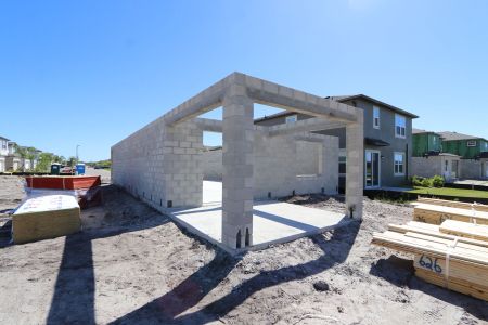 New construction Single-Family house 2881 Misty Marble Drive, Zephyrhills, FL 33540 Castellana- photo 9 9