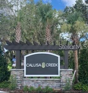 Calusa Creek by Sunrise Homes in Riverview - photo 0 0