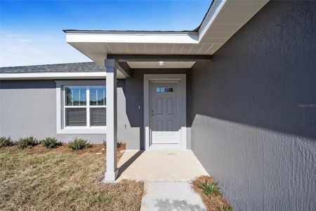 New construction Single-Family house 138 Pecan Drive, Ocala, FL 34472 - photo