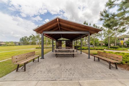 New construction Single-Family house 13791 Rangeland Boulevard, Odessa, FL 33556 - photo 63 63