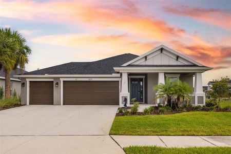 New construction Single-Family house 5828 Clairwood Court, Palmetto, FL 34221 - photo 0