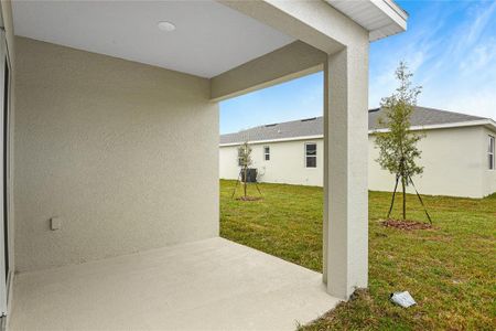 New construction Single-Family house 1004 Green Tree Court, Haines City, FL 33844 Beech- photo 15 15
