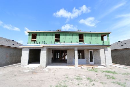 New construction Single-Family house 32556 Sapna Chime Drive, Wesley Chapel, FL 33545 Dali- photo 24 24