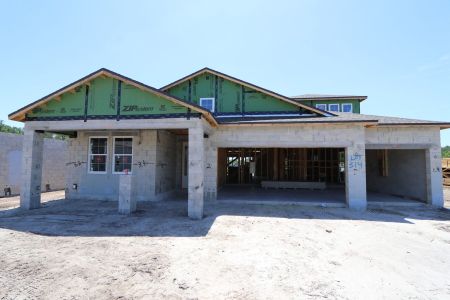 New construction Single-Family house 10609 New Morning Drive, Tampa, FL 33647 Corina  III Bonus- photo 2 2
