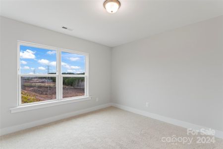 New construction Single-Family house 4234 Legacy Drive, Denver, NC 28037 - photo 28 28