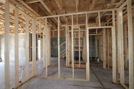 New construction Single-Family house 2852 Misty Marble Drive, Zephyrhills, FL 33540 Castellana- photo 20 20