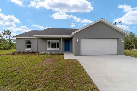 New construction Single-Family house 49 Fisher Lane Course, Ocklawaha, FL 32179 Gracie XL- photo 0