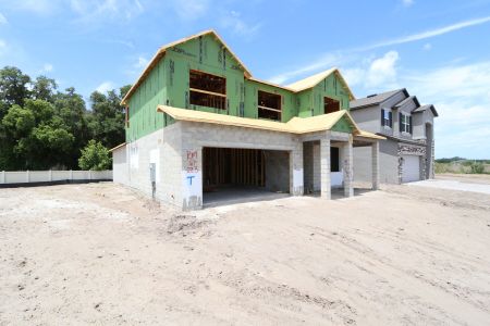 New construction Single-Family house 2530 Sunny Pebble Loop, Zephyrhills, FL 33540 Salinas- photo 31 31