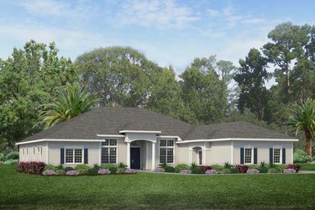 New construction Single-Family house 565 SW 145th Drive, Newberry, FL 32669 - photo 0