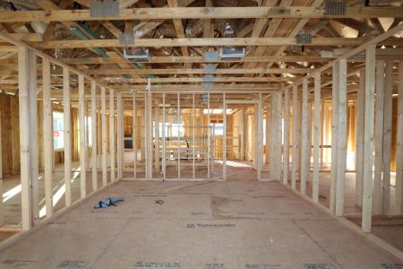 New construction Single-Family house 12114 Hilltop Farms Drive, Dade City, FL 33525 Alenza- photo 46 46