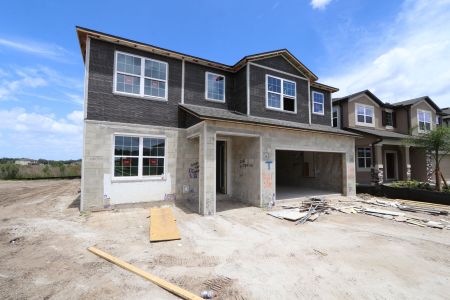 New construction Single-Family house 2522 Sunny Pebble Loop, Zephyrhills, FL 33540 Mira Lago- photo 96 96