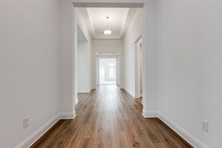 Hall featuring a tray ceiling and hardwood / wood-style flooring