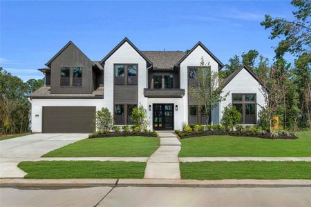 New construction Single-Family house 16011 Bonjour Boulevard, Conroe, TX 77302 - photo 0