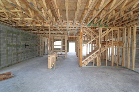 New construction Single-Family house 9635 Crescent Ray Drive, Wesley Chapel, FL 33545 Mira Lago- photo 57 57