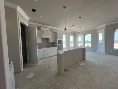 New construction Single-Family house 4205 Old Springtown Road, Weatherford, TX 76082 Verbena- photo 7 7