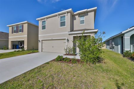 New construction Single-Family house 17039 Oval Rum Drive, Wimauma, FL 33598 - photo 53 53