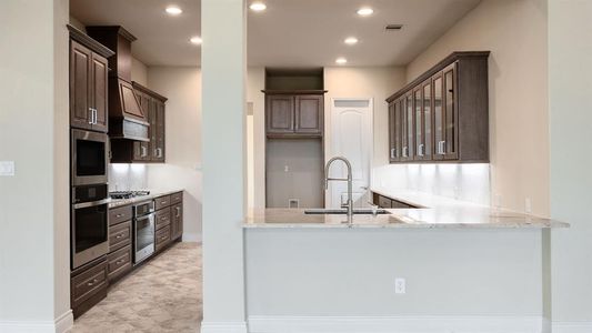 New construction Single-Family house 248 Rosetta Loop, Liberty Hill, TX 78642 Design 3924S- photo 14 14