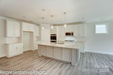 New construction Single-Family house 6106 Old Evergreen Parkway, Unit 134, Indian Trail, NC 28079 Sullivan- photo 12 12