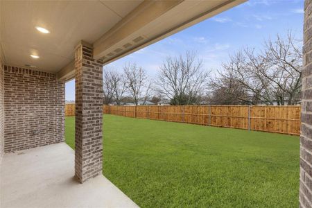 New construction Single-Family house 102 Swallowtail Lane, Josephine, TX 75173 - photo 27 27
