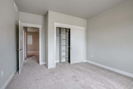 New construction Townhouse house 6248 Vernazza Way, Windsor, CO 80550 - photo 81 81