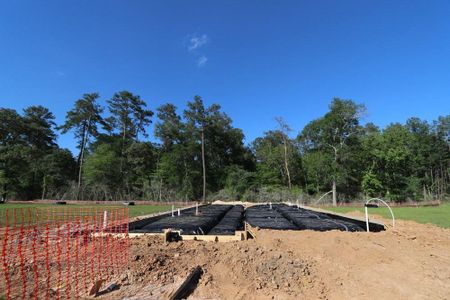 New construction Single-Family house 479 Audubons Shearwater Way, Magnolia, TX 77354 The Penmark- photo 24 24