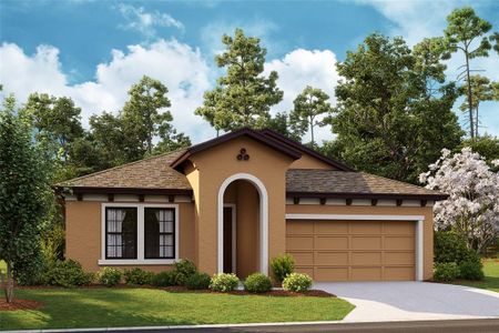 New construction Single-Family house 6001 Hidden Branch Drive, Apollo Beach, FL 33572 - photo 0