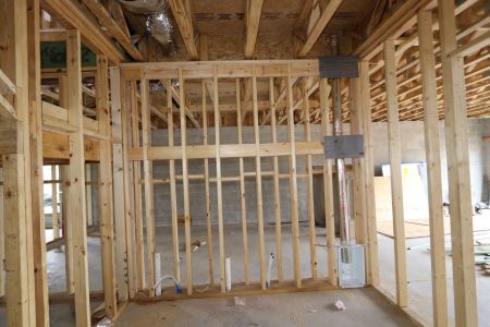 New construction Single-Family house 12383 Hilltop Farms Drive, Dade City, FL 33525 Malibu- photo 16 16