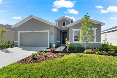 New construction Single-Family house 10023 Eventide Trail, Parrish, FL 34219 - photo 0